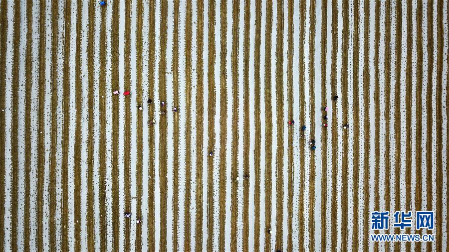 （在習(xí)近平新時代中國特色社會主義思想指引下&mdash;&mdash;新時代新作為新篇章&middot;習(xí)近平總書記關(guān)切事&middot;圖文互動）（6）啃下最后的硬骨頭&mdash;&mdash;脫貧攻堅(jiān)掛牌督戰(zhàn)進(jìn)行時