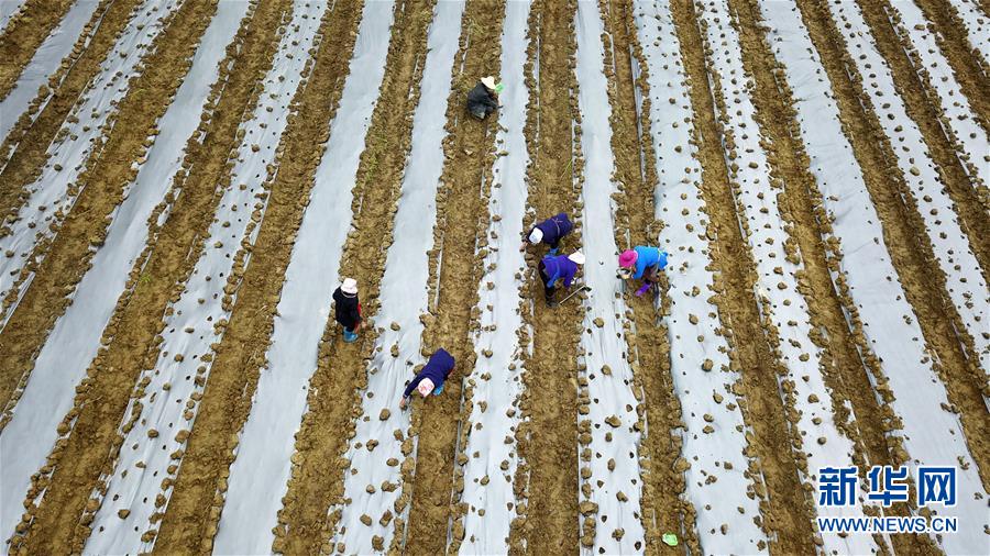 （在習(xí)近平新時代中國特色社會主義思想指引下&mdash;&mdash;新時代新作為新篇章&middot;習(xí)近平總書記關(guān)切事&middot;圖文互動）（8）啃下最后的硬骨頭&mdash;&mdash;脫貧攻堅(jiān)掛牌督戰(zhàn)進(jìn)行時