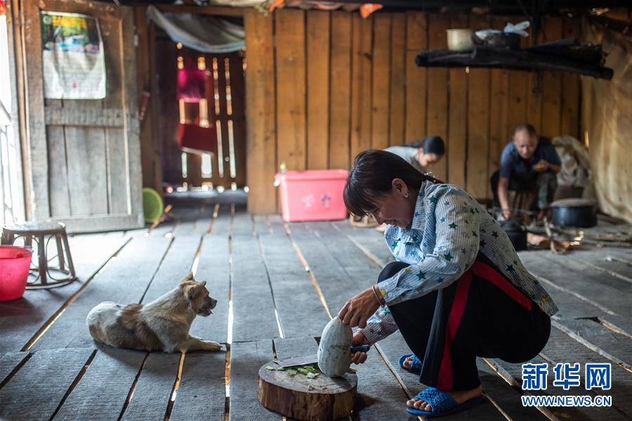 (決戰(zhàn)決勝脫貧攻堅(jiān)·圖文互動(dòng))(8)“孩子再也不用學(xué)打獵了”——拉祜族女獵手告別狩獵