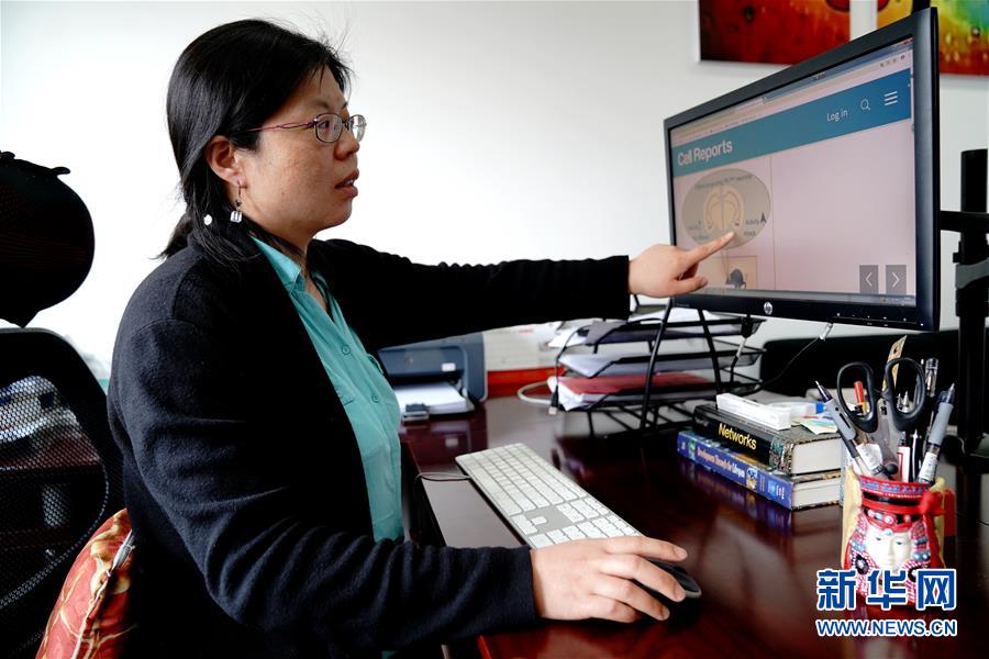 （圖文互動）（1）攻擊行為如何被大腦控制？科學家在小鼠大腦中發(fā)現&ldquo;調節(jié)開關&rdquo;