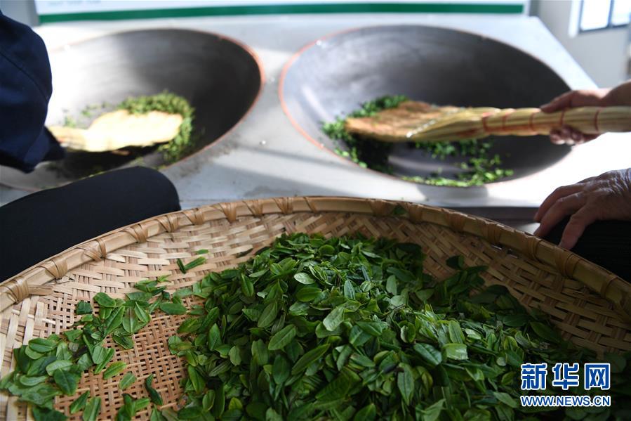 （新華全媒頭條&middot;圖文互動）（9）紅土地上的&ldquo;綠色減貧&rdquo;決戰&mdash;&mdash;大別山&ldquo;將軍縣&rdquo;金寨脫貧紀實