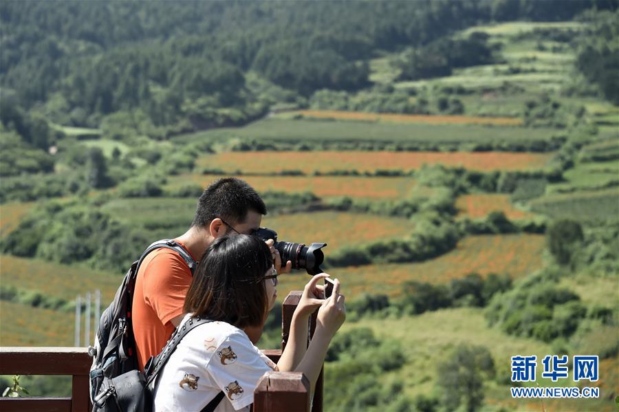 （圖文互動）（1）這座小城，鐫刻下怎樣的&ldquo;世園印記&rdquo;&mdash;&mdash;北京世園會開園一周年探訪延慶