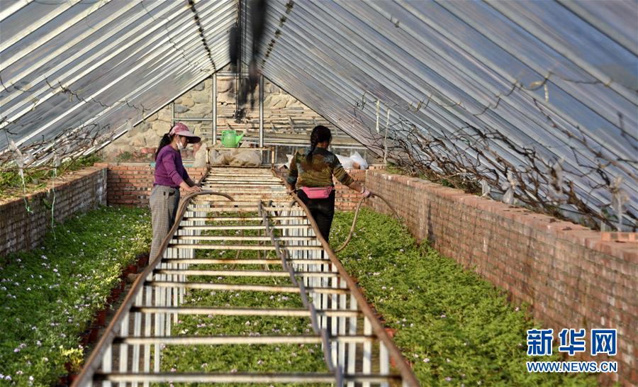 （圖文互動）（2）這座小城，鐫刻下怎樣的&ldquo;世園印記&rdquo;&mdash;&mdash;北京世園會開園一周年探訪延慶