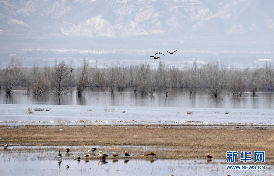 （圖文互動）（3）這座小城，鐫刻下怎樣的&ldquo;世園印記&rdquo;&mdash;&mdash;北京世園會開園一周年探訪延慶