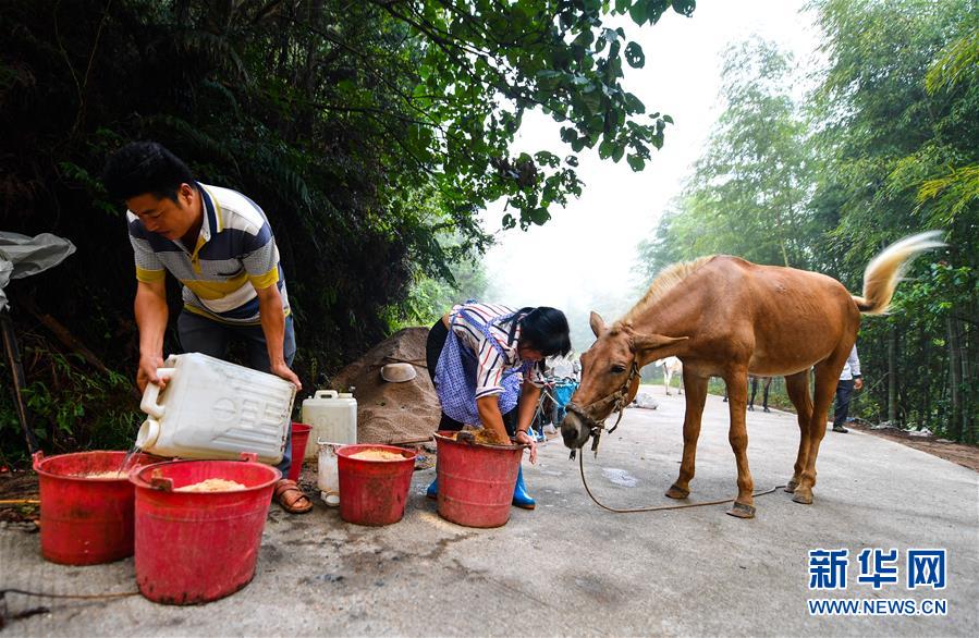 （決戰(zhàn)決勝脫貧攻堅(jiān)&middot;圖文互動(dòng)）（4）老余賣(mài)騾子