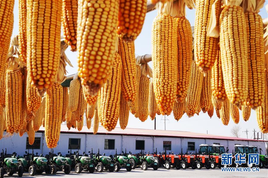 (新華全媒頭條·圖文互動(dòng))(5)讓中國飯碗端得更牢——“中華糧倉”春耕剪影