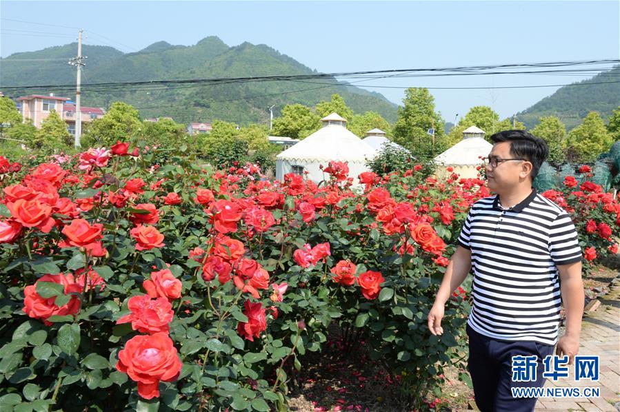 （決戰(zhàn)決勝脫貧攻堅(jiān)&middot;圖文互動）（6）理發(fā)師&ldquo;修剪&rdquo;鄉(xiāng)村游一團(tuán)亂麻