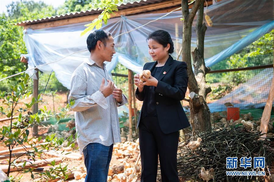 （圖文互動）（1）扶貧干部唐華容：治疾病也治&ldquo;窮病&rdquo;