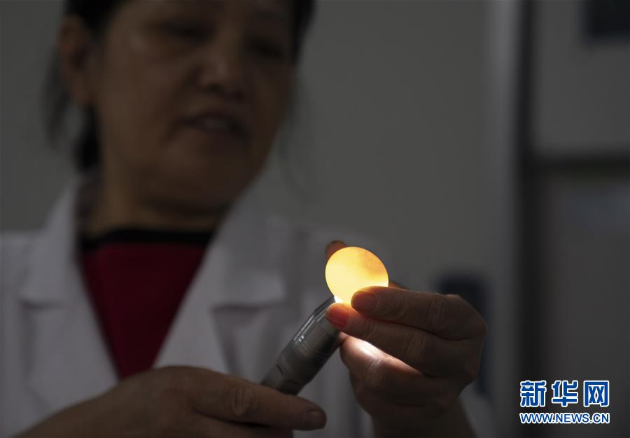 （決戰(zhàn)決勝脫貧攻堅(jiān)&middot;圖文互動）（2）小鴿子帶來大希望&mdash;&mdash;河北阜平硒鴿產(chǎn)業(yè)&ldquo;飛翔&rdquo;記