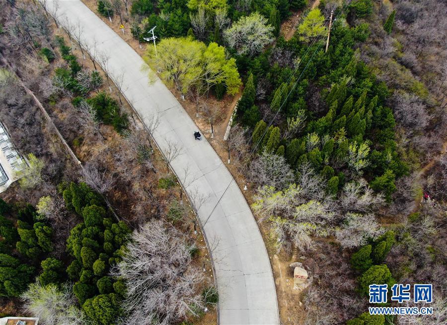 （抗疫中的真善美&middot;圖文互動）（1）修鞋匠張明抗&ldquo;疫&rdquo;記