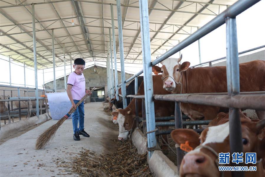 （新華全媒頭條&middot;圖文互動）（7）刺梨花開滿山紅&mdash;&mdash;記在貴州脫貧攻堅一線奮斗的殘疾人