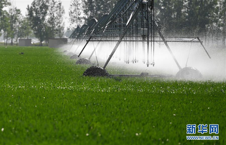 （在習近平新時代中國特色社會主義思想指引下&mdash;&mdash;新時代新作為新篇章&middot;習近平總書記關切事&middot;圖文互動）（3）新農事、新希望&mdash;&mdash;夏收前田間新動態掃描