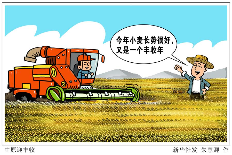（圖表&middot;漫畫）［關注三夏］中原迎豐收