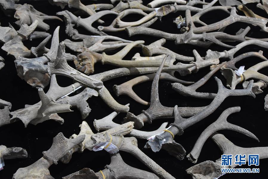 （圖文互動）（2）浙江余姚發現早于河姆渡文化1000年的史前遺址