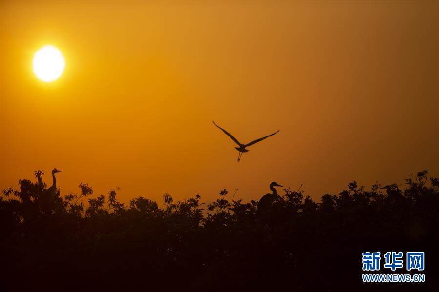 （新華全媒頭條&middot;圖文互動）（1）大湖新歌&mdash;&mdash;我國兩大淡水湖全面生態(tài)修復(fù)進(jìn)行時(shí)