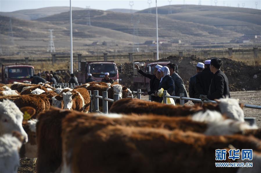 (在習(xí)近平新時(shí)代中國(guó)特色社會(huì)主義思想指引下——新時(shí)代新作為新篇章·習(xí)近平總書(shū)記關(guān)切事·圖文互動(dòng))(2)六盤(pán)山下的誓言——來(lái)自寧夏的脫貧故事