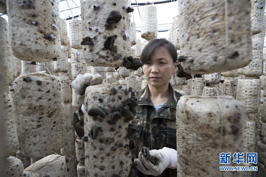 （新華全媒頭條&middot;走向我們的小康生活&middot;圖文互動(dòng)）（15）迎著東升的紅日&mdash;&mdash;走向小康之路的赫哲族