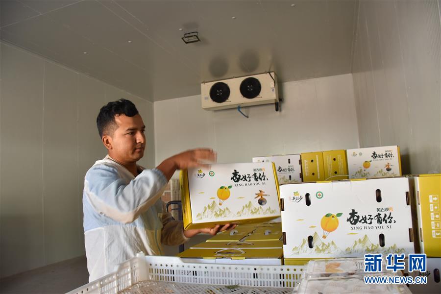 （決戰(zhàn)決勝脫貧攻堅(jiān)&middot;圖文互動(dòng)）（6）新疆&ldquo;杏鄉(xiāng)&rdquo;：杏果飄香 走出深閨助脫貧