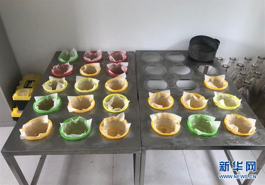 （留資）暴雨洪峰中的&ldquo;瞭望者&rdquo;