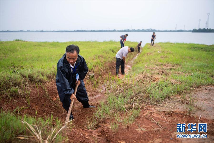 (防汛抗洪·圖文互動)(9)鏖戰南洞庭
