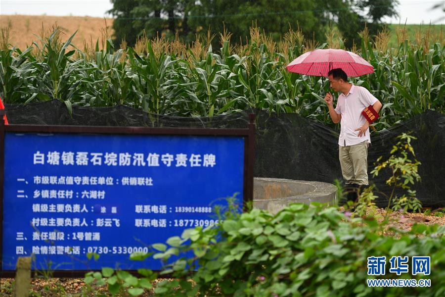 (防汛抗洪·圖文互動)(1)“險情不可怕,可怕的是不能及時發(fā)現(xiàn)險情”——洞庭湖巡堤查險現(xiàn)場直擊