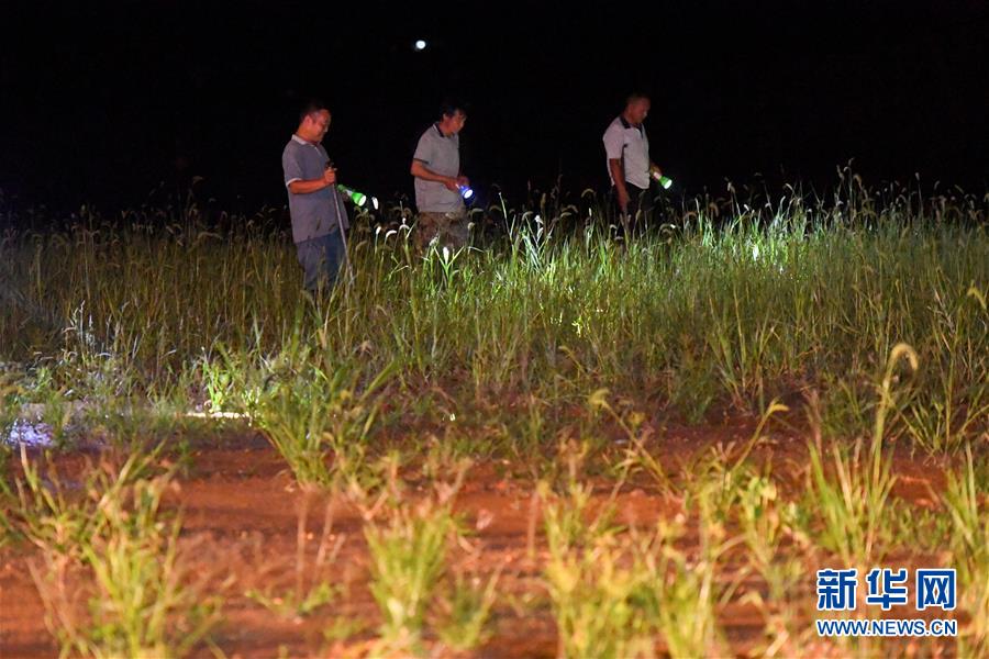 (防汛抗洪·圖文互動)(2)“保衛(wèi)家園,誰都不能是旁觀者”——夜訪洞庭湖大堤防汛一線