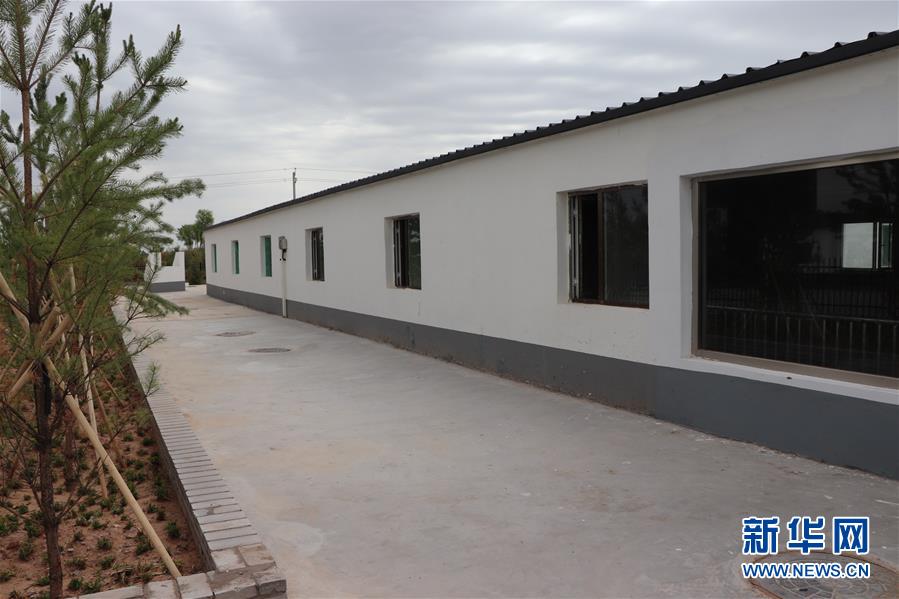 （鄉村振興&middot;圖文互動）（2）內蒙古伊金霍洛旗：自家生豬基地養 環境好來收入旺