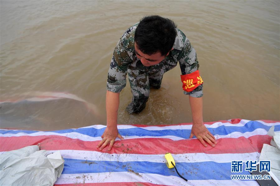 （新華全媒頭條&middot;圖文互動）（5）鏖戰江新洲