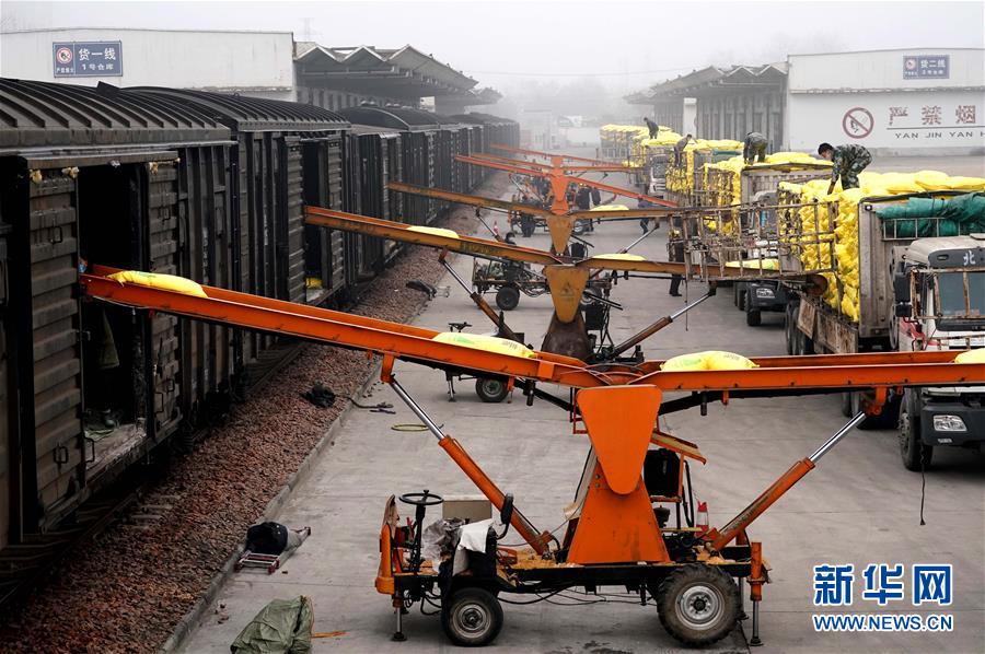 （在習近平新時代中國特色社會主義思想指引下&mdash;&mdash;新時代新作為新篇章&middot;習近平總書記關切事&middot;圖文互動）（5）食為政首&mdash;&mdash;穩住農業基本盤增添發展底氣