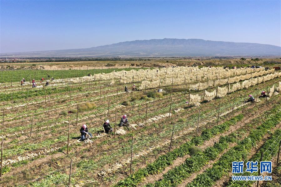 （新華全媒頭條&middot;走向我們的小康生活&middot;圖文互動）（8）23萬人的命運(yùn)轉(zhuǎn)折&mdash;&mdash;我國最大易地生態(tài)移民安置區(qū)的脫貧密碼