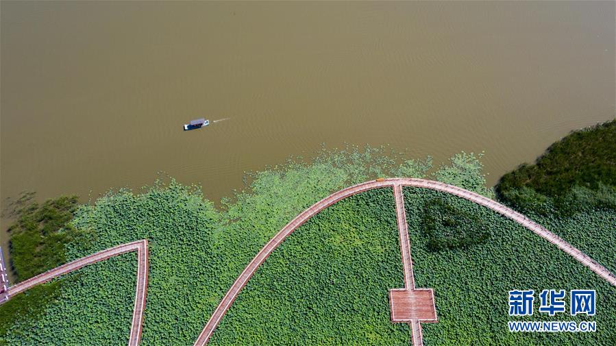 （在習近平新時代中國特色社會主義思想指引下&mdash;&mdash;新時代新作為新篇章&middot;習近平總書記關切事&middot;圖文互動）（8）綠色映底蘊，山水見初心&mdash;&mdash;生態優先、綠色發展持續造福群眾美好生活