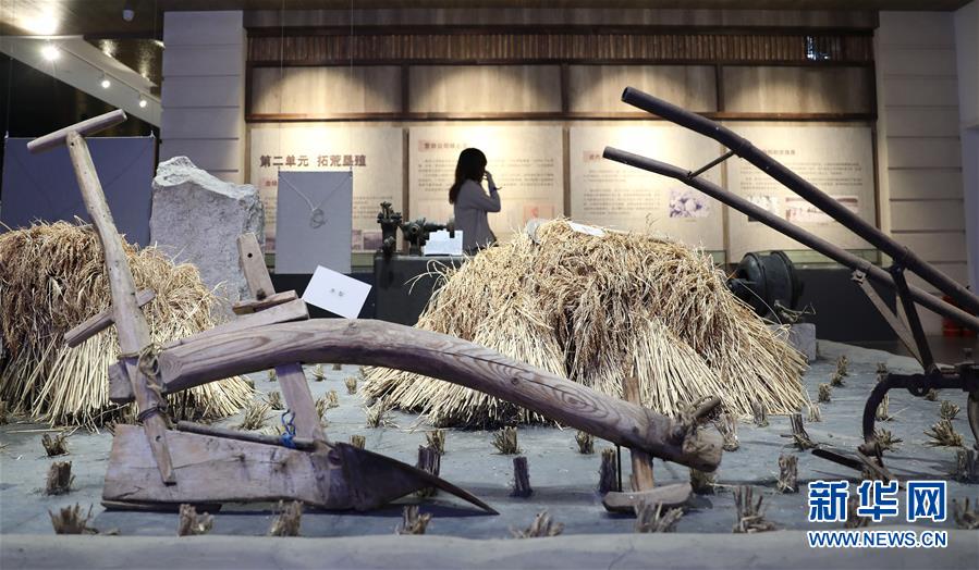 （新華全媒頭條&middot;走向我們的小康生活&middot;圖文互動）（10）&ldquo;南大荒&rdquo;變&ldquo;稻蟹鄉&rdquo;&mdash;&mdash;資源枯竭型城市盤錦的鄉村振興之路