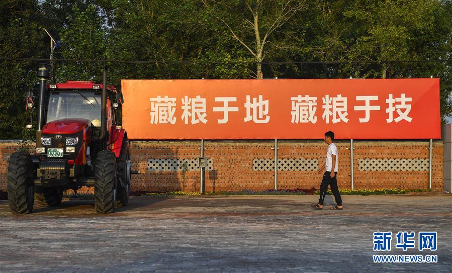 （在習近平新時代中國特色社會主義思想指引下&mdash;&mdash;新時代新作為新篇章&middot;習近平總書記關(guān)切事&middot;圖文互動）（3）為黑土加&ldquo;油&rdquo;&mdash;&mdash;&ldquo;耕地中的大熊貓&rdquo;，我們這樣保護