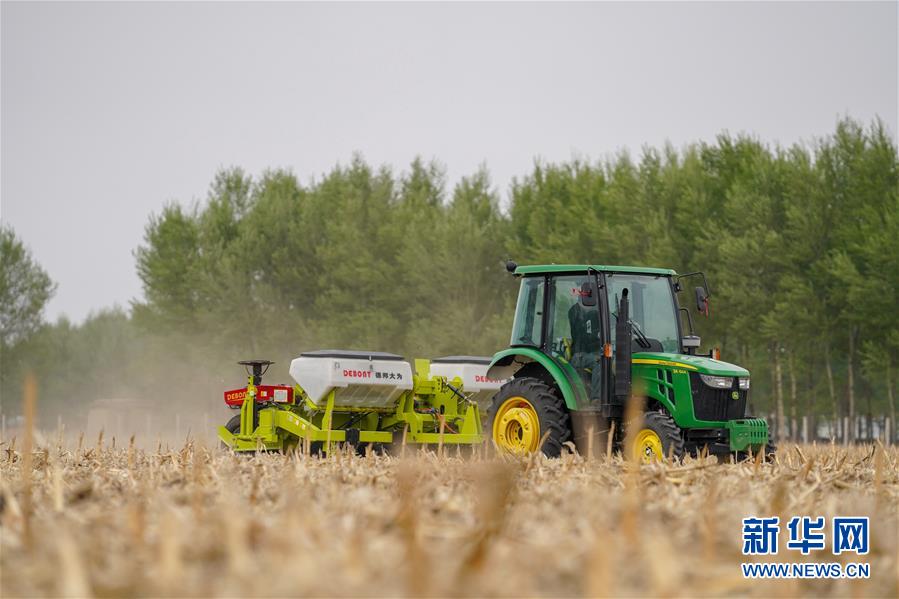 （在習近平新時代中國特色社會主義思想指引下&mdash;&mdash;新時代新作為新篇章&middot;習近平總書記關(guān)切事&middot;圖文互動）（7）為黑土加&ldquo;油&rdquo;&mdash;&mdash;&ldquo;耕地中的大熊貓&rdquo;，我們這樣保護