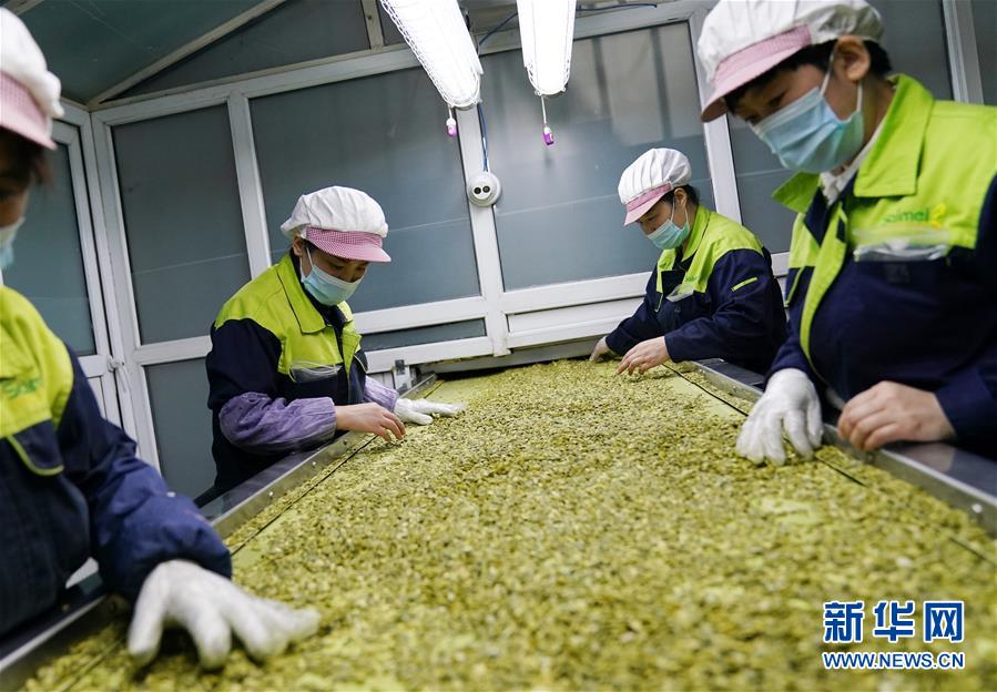 (在習近平新時代中國特色社會主義思想指引下——新時代新作為新篇章·習近平總書記關切事·圖文互動)(5)激發每個經濟“細胞”的活力——千方百計把市場主體保護好