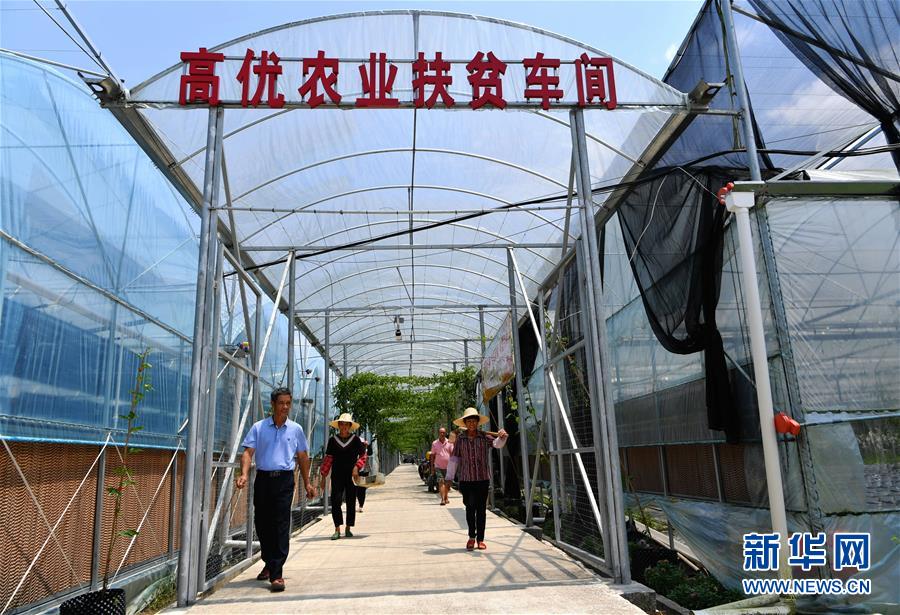 （走向我們的小康生活&middot;圖文互動）（3）&ldquo;紅土地&rdquo;越來越紅火&mdash;&mdash;福建老區蘇區發展新貌掠影