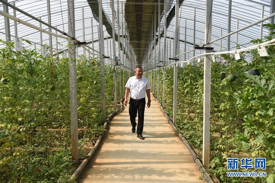 （新華全媒頭條&middot;走向我們的小康生活&middot;圖文互動）（11）幸福小康入畫來&mdash;&mdash;齊魯大地描繪小康新畫卷