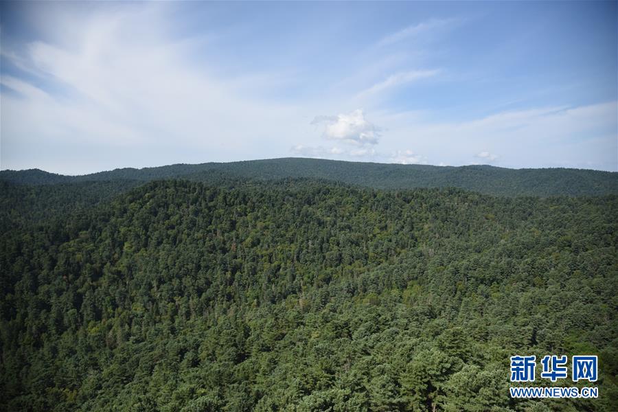 （鄉村振興&middot;圖文互動）守護小興安嶺的&ldquo;綠色明珠&rdquo;