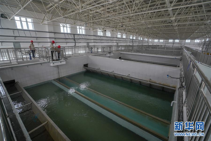 （決戰決勝脫貧攻堅&middot;圖文互動）（3）改水記