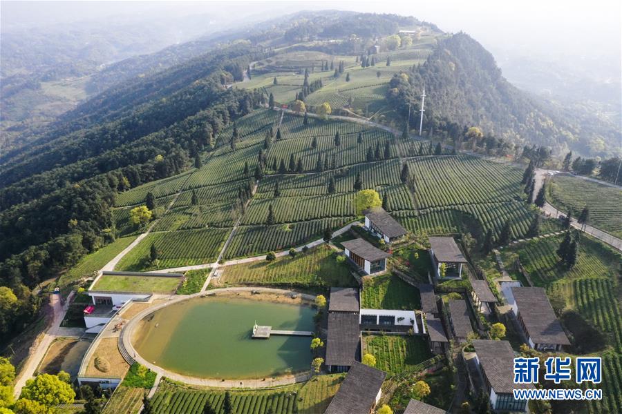 （新華全媒頭條&middot;走向我們的小康生活&middot;圖文互動）（3）大城大鄉的&ldquo;幸福協奏曲&rdquo;&mdash;&mdash;重慶推動高質量發展創造高品質生活紀事