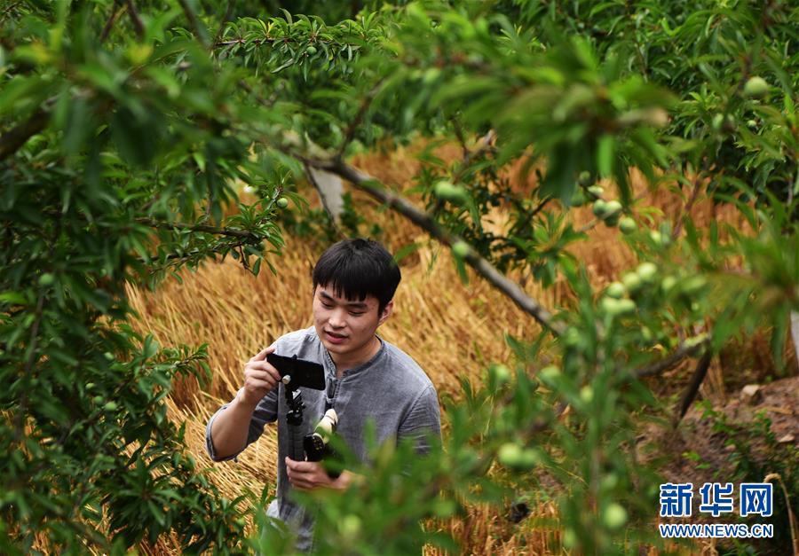 （新華全媒頭條&middot;走向我們的小康生活&middot;圖文互動）（8）大城大鄉的&ldquo;幸福協奏曲&rdquo;&mdash;&mdash;重慶推動高質量發展創造高品質生活紀事