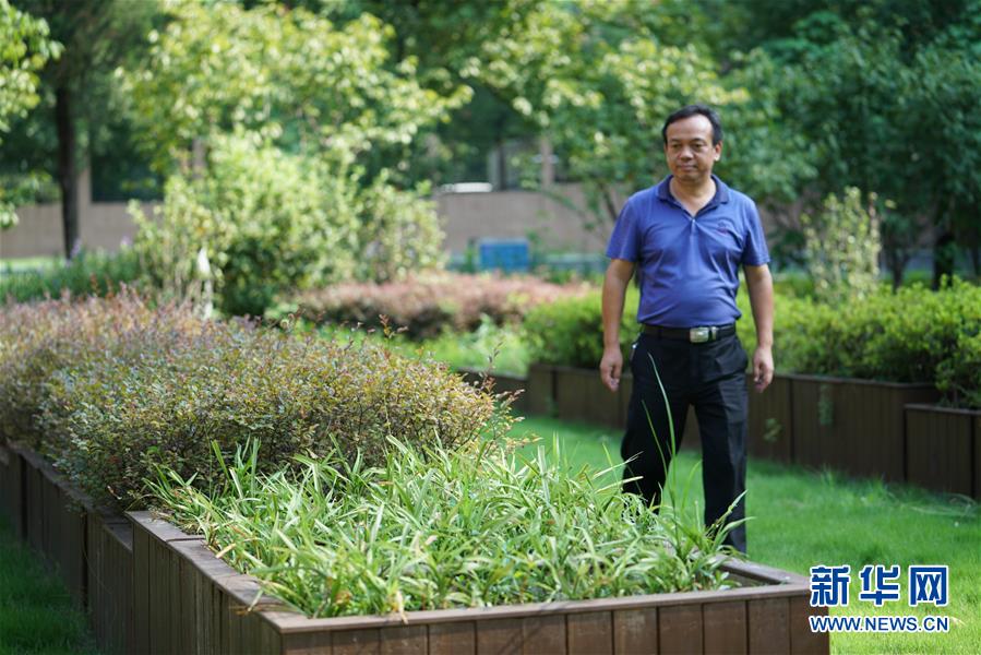 (圖文互動)(1)“綠灰白”破解城市內(nèi)澇之“囧”