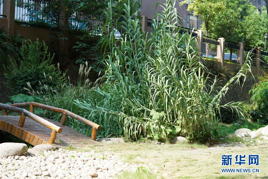 (圖文互動)(4)“綠灰白”破解城市內(nèi)澇之“囧”