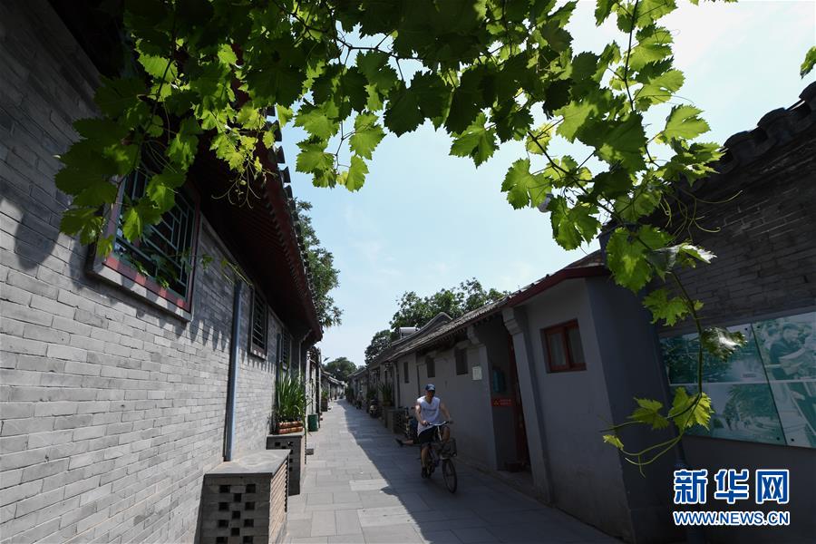 （走向我們的小康生活&middot;圖文互動(dòng)）（1）小橋、流水、書香、人家&mdash;&mdash;老北京胡同里的恬靜棲居
