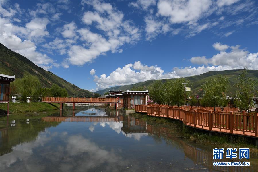 （鄉村振興&middot;圖文互動）（1）村里來了位&ldquo;掏糞書記&rdquo;