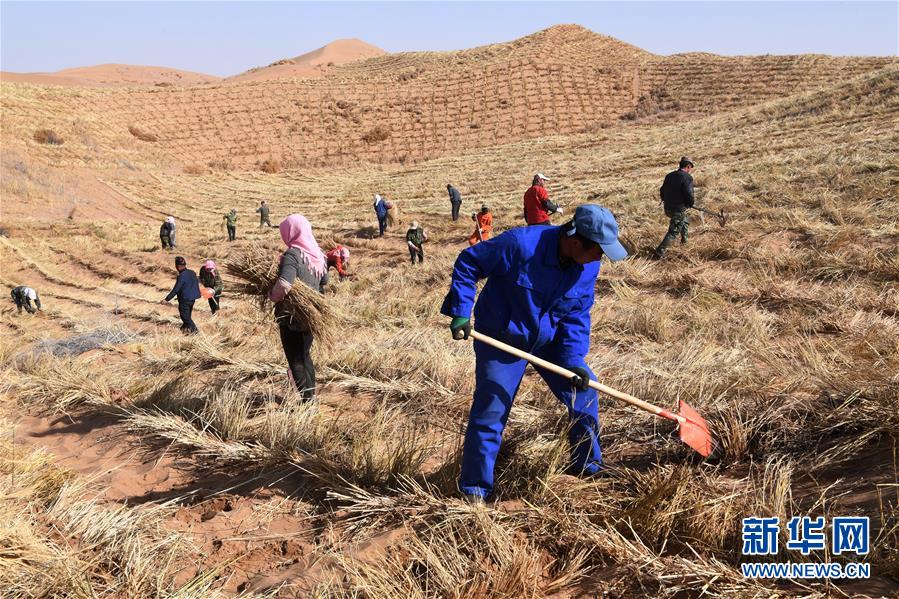 （新華全媒頭條&middot;走向我們的小康生活&middot;圖文互動）（6）&ldquo;苦甲&rdquo;不再，&ldquo;甘味&rdquo;綿長&mdash;&mdash;脫貧攻堅的甘肅味道