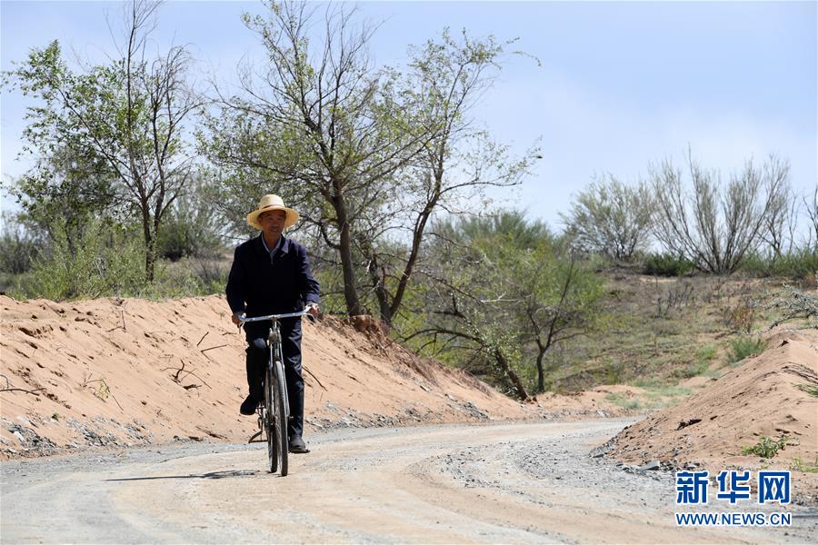 （新華全媒頭條&middot;走向我們的小康生活&middot;圖文互動）（7）&ldquo;苦甲&rdquo;不再，&ldquo;甘味&rdquo;綿長&mdash;&mdash;脫貧攻堅的甘肅味道