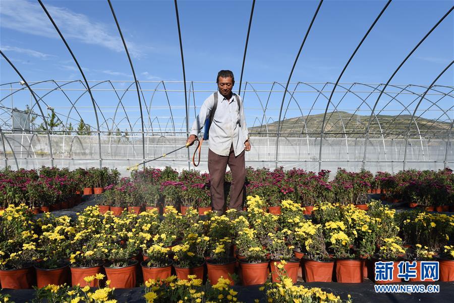 （新華全媒頭條&middot;走向我們的小康生活&middot;圖文互動）（10）&ldquo;苦甲&rdquo;不再，&ldquo;甘味&rdquo;綿長&mdash;&mdash;脫貧攻堅的甘肅味道