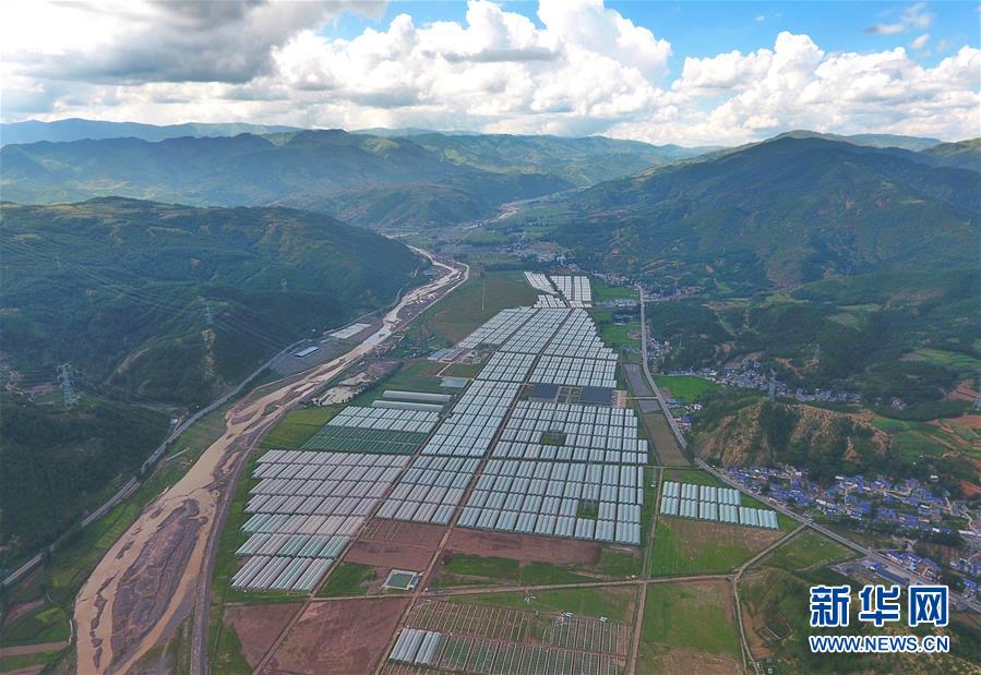 （新華全媒頭條&middot;決戰決勝脫貧攻堅&middot;督戰未摘帽貧困縣&middot;圖文互動）（10）苦蕎花開大涼山&mdash;&mdash;四川7個未摘帽縣脫貧攻堅一線觀察