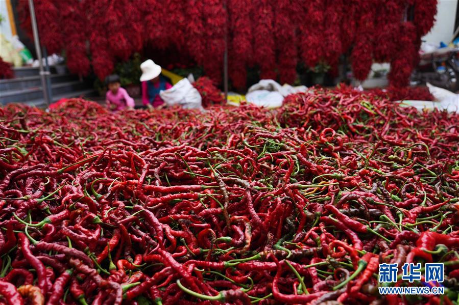 （走向我們的小康生活&middot;決戰決勝脫貧攻堅&middot;圖文互動）（7）甘青交界處的跨越&mdash;&mdash;保安族、撒拉族的脫貧故事 